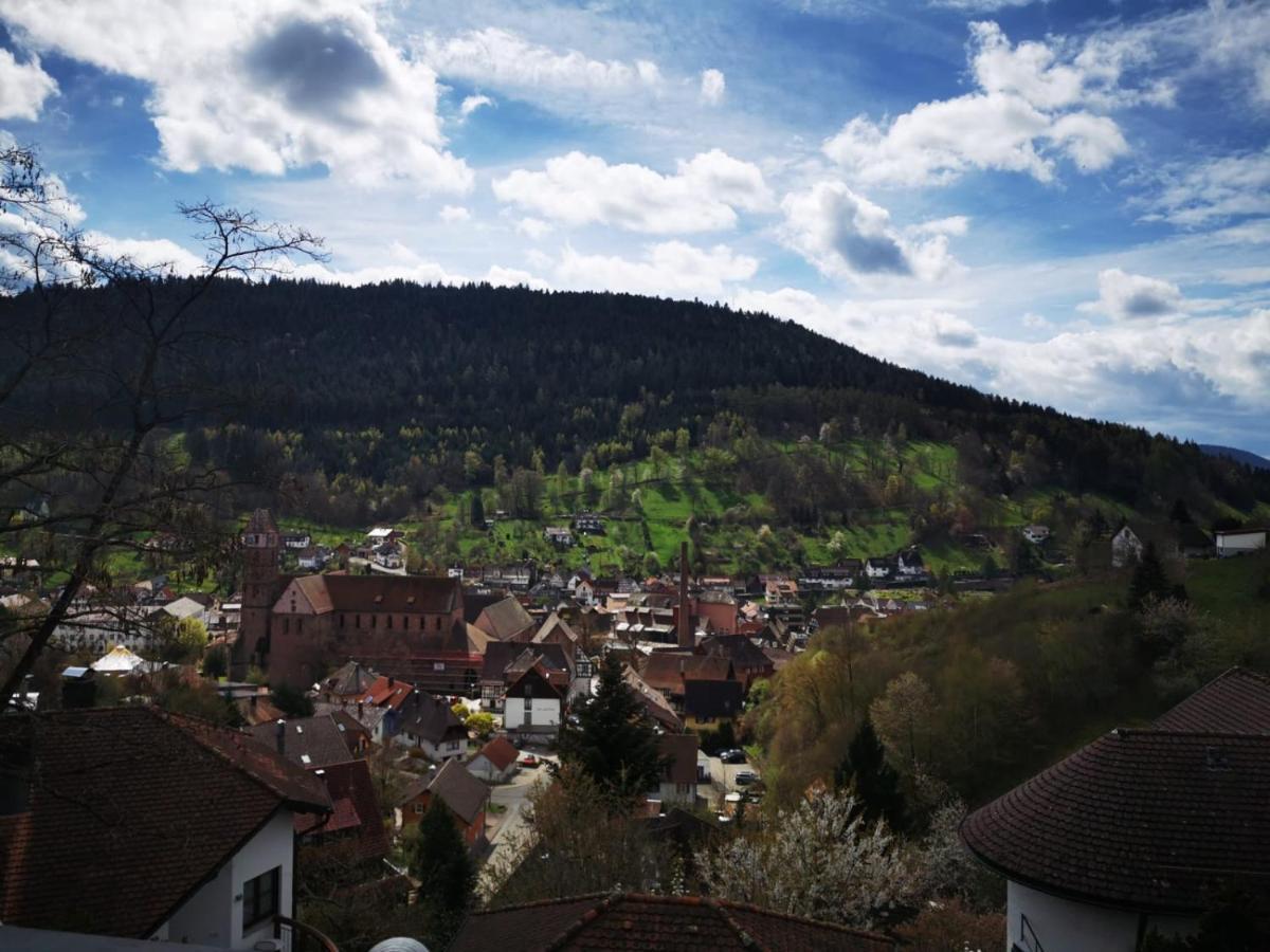Miu'S Ferienwohnung Alpirsbach Luaran gambar